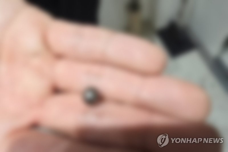 인천 사제총기 살해 사건에 쓰인 탄환 (출처=연합뉴스)