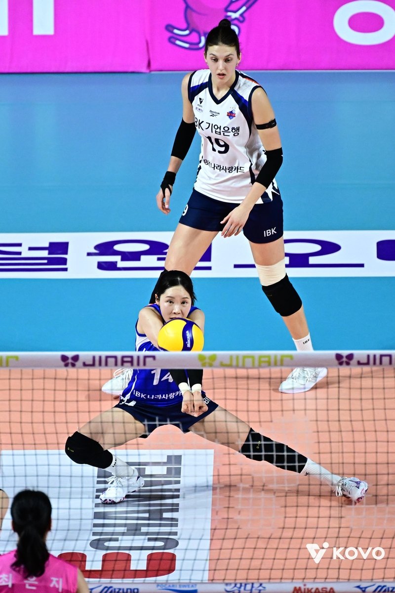 리시브하는 IBK기업은행의 김채원 (출처=연합뉴스)