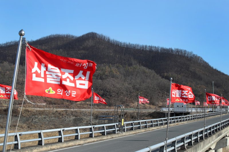 차고 건조한 날씨가 이어진 지난달 29일 경북 의성군 단촌면의 한 야산 앞에 산불조심 깃발이 바람에 나부끼고 있다. 뒤로 시커멓게 그을린 산은 지난해 경북 초대형 산불 때 화마가 할퀴고 지나간 곳. 2026.1.29 ⓒ 뉴스1 공정식 기자