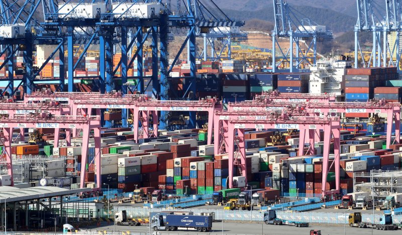 부산 강서구 부산신항 부두 야적장에 컨테이너가 쌓인 모습.ⓒ 뉴스1 윤일지 기자