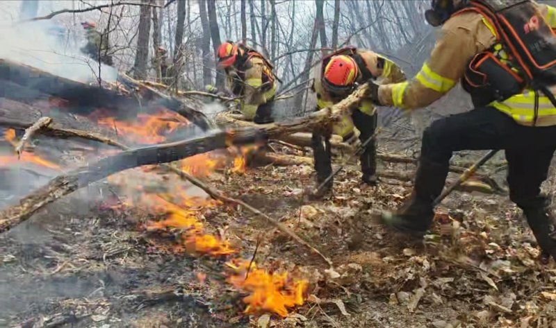 8일 경북 경주시 문무대왕면 입천리에서 발생한 산불 현장에서 소방 당국이 진화에 나서고 있다. 경북소방안전본부 제공