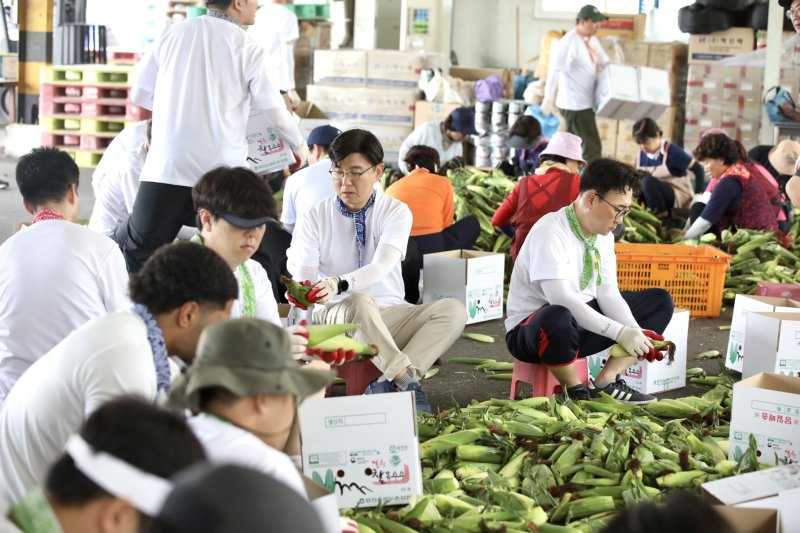 현대글로비스 임직원들이 지난해 7월 18년째 온정을 이어온 '1사 1촌' 자매결연 마을인 강원도 홍천군 자은2리를 찾아 옥수수 손질과 포장을 돕고 있다.