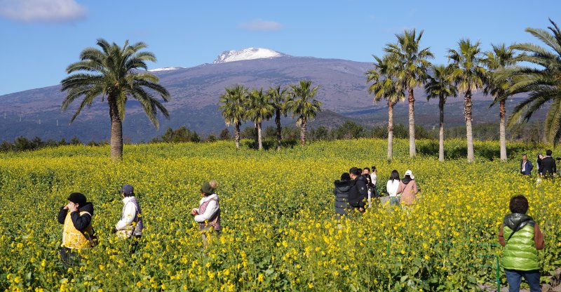 1월 9일 오전 제주 서귀포시 남원읍 휴애리자연생활공원. 개정 노조법은 지역 경제에도 적지 않은 영향을 미칠 것으로 보인다. 특히 관광업은 계절적 수요 변동이 큰 구조이고, 건설업 역시 원청·하청 다단계 계약이 일반화돼 있어 노사 관계의 재정립 여부가 현장 주요 변수로 떠오를 전망이다. /사진=뉴시스