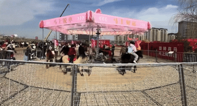 중국에서 논란이 된 살아있는 회전목마. 출처=연합뉴스, 더우인