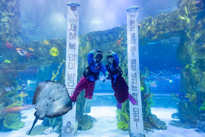 롯데월드 아쿠아리움 아쿠아리스트들의 수중 새해인사