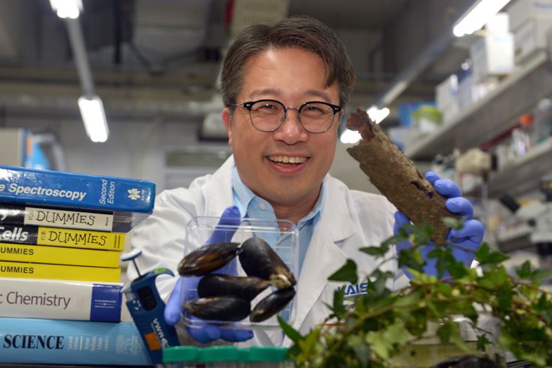 '그래비티 샴푸 개발' 이해신 교수, 카이스트 특별상 수상 - 뉴스 썸네일 이미지