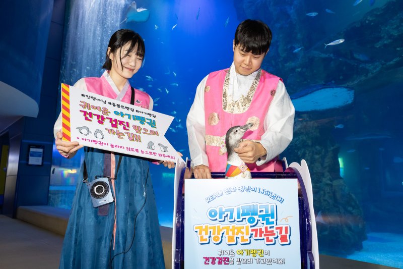 아쿠아리움 '아기펭귄 건강검진 가는길'. (사진=롯데월드) *재판매 및 DB 금지