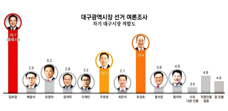 6월 3일 치르는 제9회 전국동시지방선거 대구시장 출마 예상자들에 대한 적합도 조사. (대구일보 지면 PDF 파일 갈무리. 재판매 및 DB 금지)/뉴스1