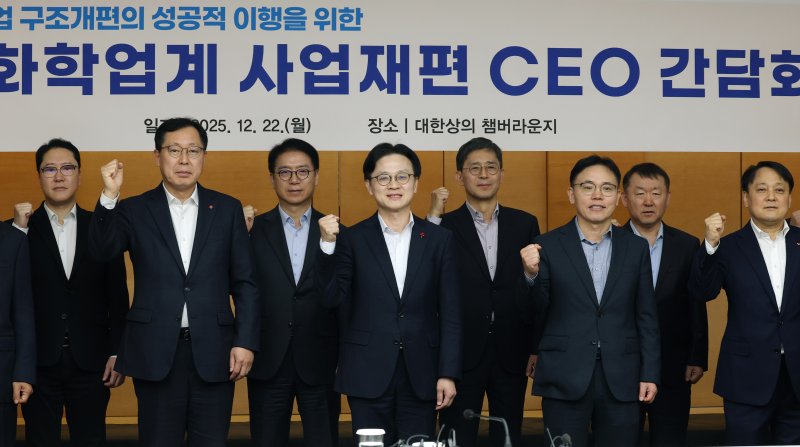 생존형 빅딜 시작 … 석화 구조조정 , 설 이후 TF 가동 등 본격화