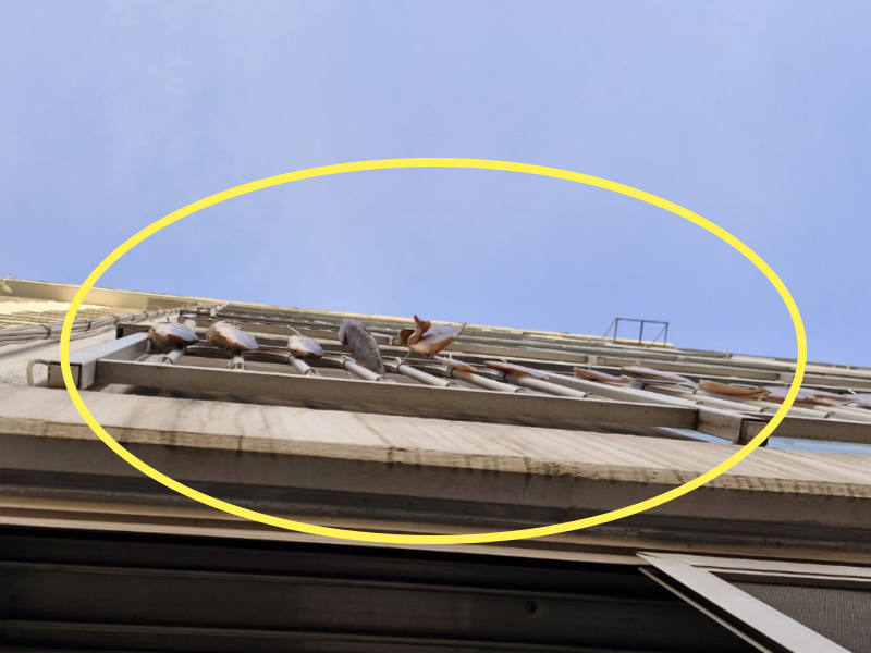 /사진=온라인 커뮤니티