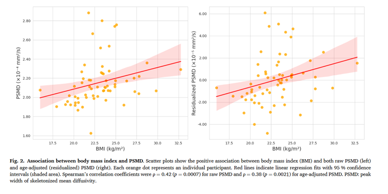 ▲BMI와 PSMD의 관계. BMI가 높을수록 PSMD 수치도 함께 증가하는 경향을 보여준다. 이는 체중이 증가할수록 뇌 백질의 미세한 구조 변화가 커질 수 있음을 의미한다. 해운대백병원 제공