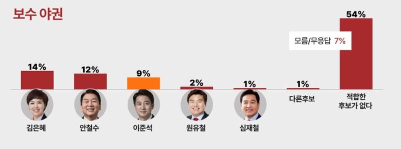 경기도지사 범보수 야권 후보. 경인일보 제공