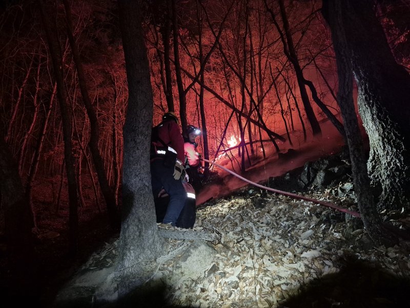 밀양 산불현장에 투입된 산림청 특수진화대 (출처=연합뉴스)