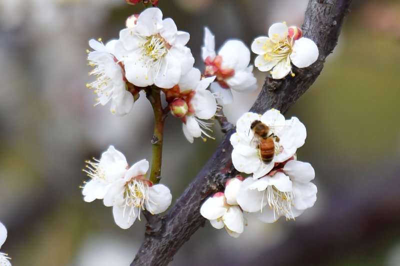 대구·경북 비나 눈 예보 관련 이미지