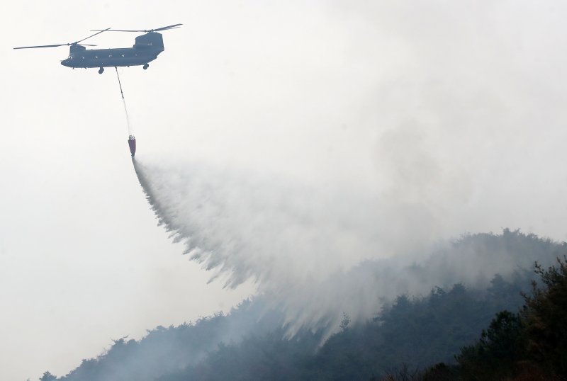 경남 밀양 산불 이틀째인 24일 오전 삼랑진읍 검세리 산불 현장에서 육군 치누크 헬기(CH-47)가 진화 작업을 벌이고 있다. 2026.2.24 ⓒ 뉴스1 윤일지 기자