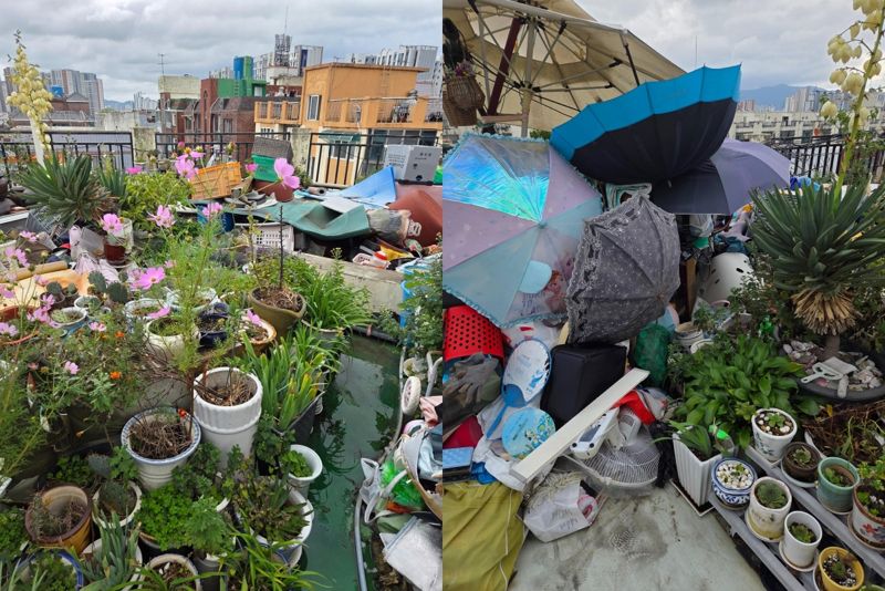 /사진=온라인 커뮤니티 보배드림 갈무리