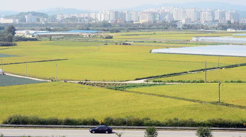 (사진은 기사 내용과 무관함) ⓒ 뉴스1 장수영 기자