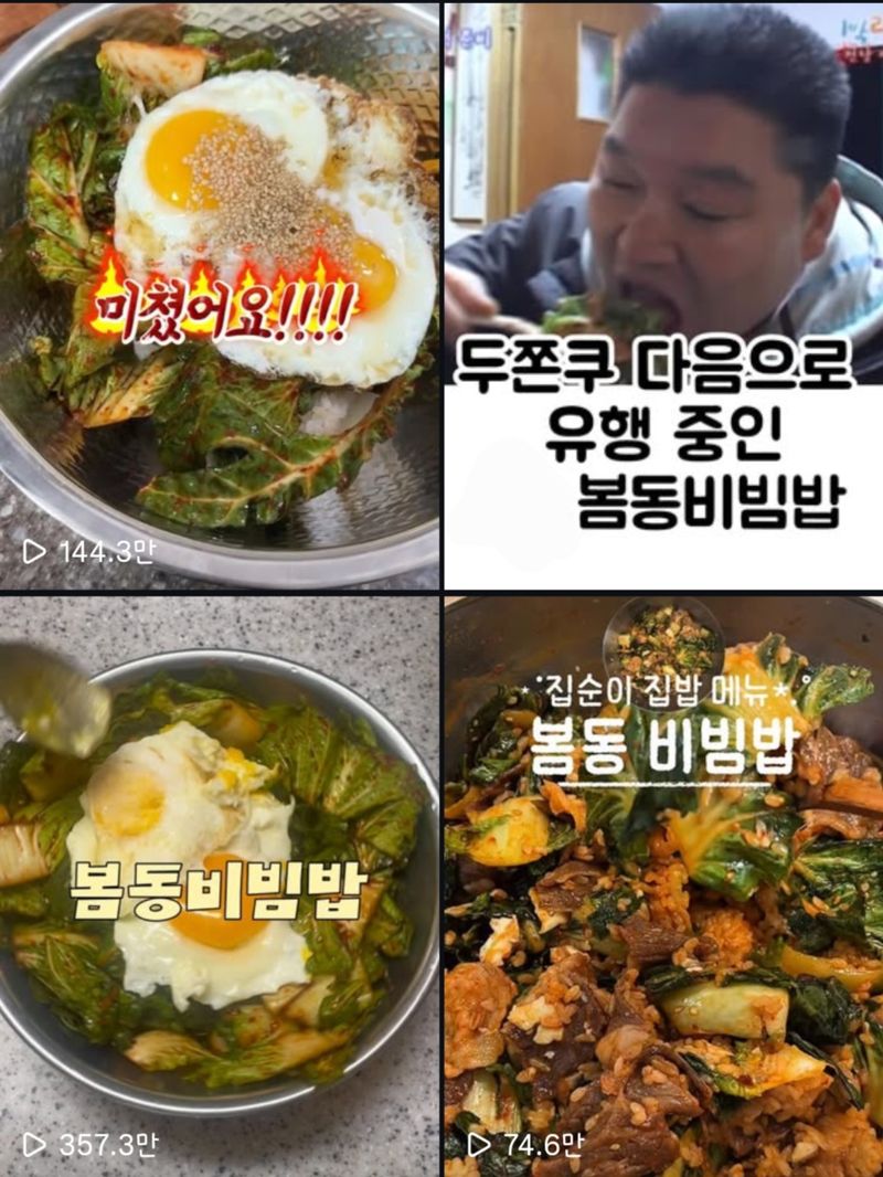 인스타그램에 올라온 봄동비빔밥 게시글들. 인스타그램 화면 갈무리