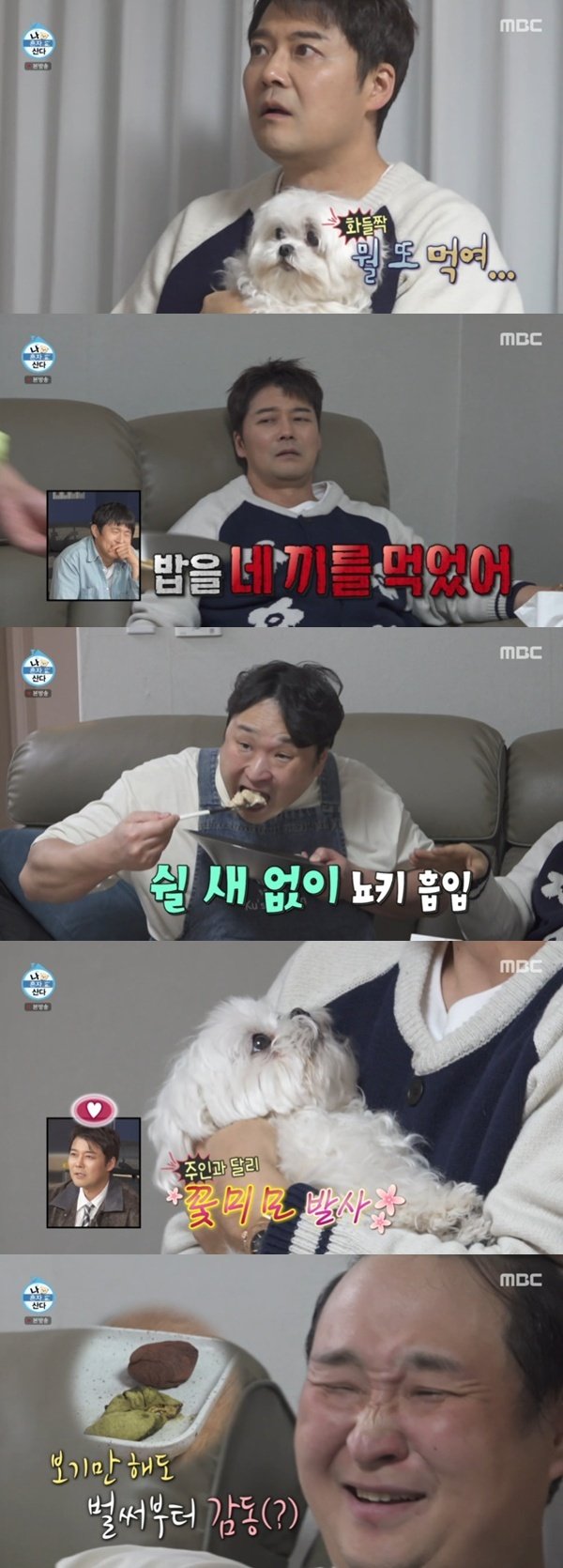 구성환 반려견 꽃분이, '나혼산' 등장…전현무 바자회 A/S [RE:TV]