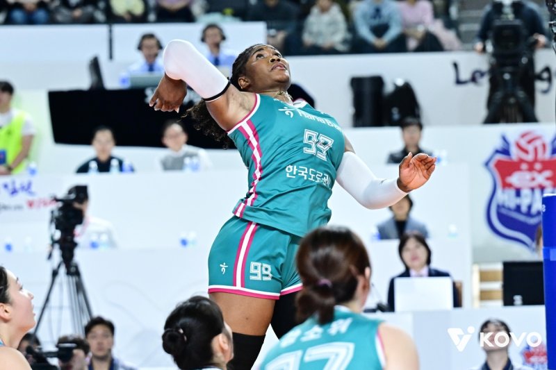 공격하는 한국도로공사의 모마 (출처=연합뉴스)