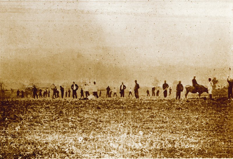 신흥무관학교 백서농장. 우당이회영선생교육문화재단 제공