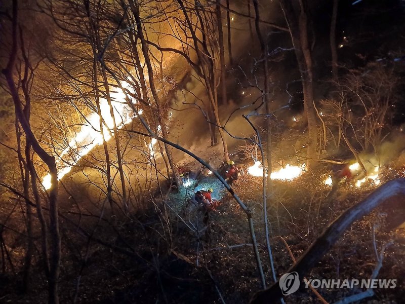 함양 산불 야간 진화 작업 (출처=연합뉴스)