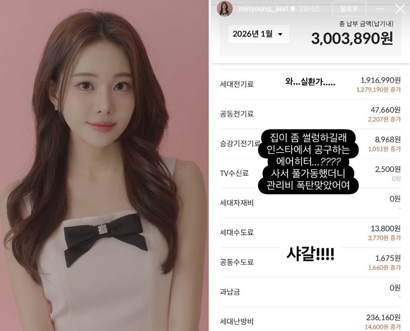 아옳이, '66억 한강뷰' 아파트 관리비 300만원 폭탄 맞았다