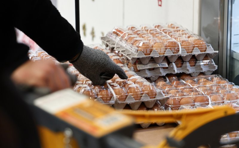 29일 서울의 한 대형마트에 계란이 진열되어 있다. 2026.1.29 ⓒ 뉴스1 최지환 기자