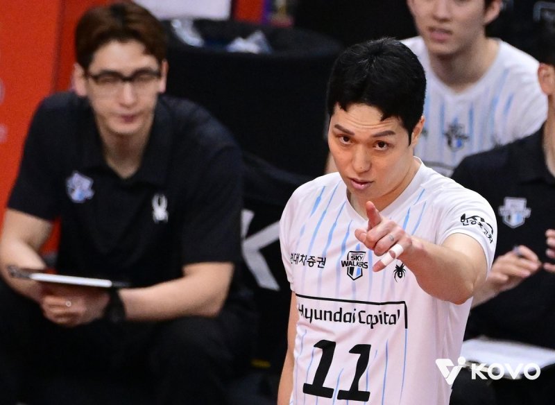 현대캐피탈의 베테랑 미들 블로커 최민호 (출처=연합뉴스)