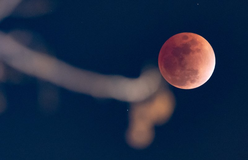[서울=뉴시스] 황준선 기자 = 3일 밤 서울 마포구 하늘에서 태양과 지구, 달이 일직선상에 놓이면서 달이 지구의 본그림자에 완전히 가려 붉게 보이는 '블러드문(Blood Moon)' 현상이 관측되고 있다. 2026.03.03. hwang@newsis.com