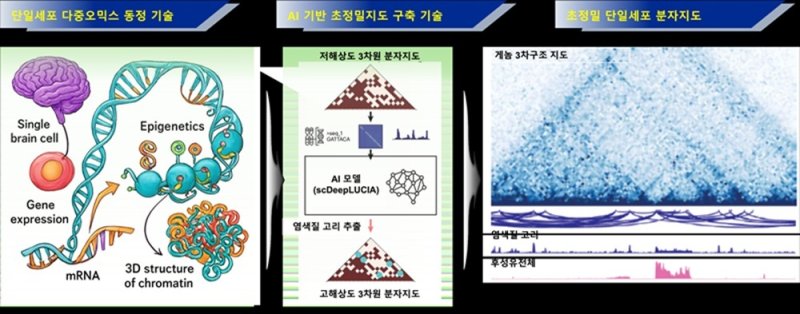 초정밀 단일세포 분자지도 개요(KAIST 제공) /뉴스1