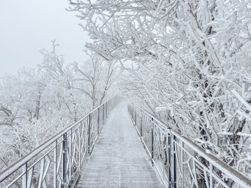 강원 평창군 모나용평리조트가 이달 초 폭설로 스키장 운영 연장을 검토하는 가운데, 최근 리조트 주변 발왕산이 설경을 나타내고 있다. (모나용평리조트 제공. 재판매 및 DB금지) 2026.3.4/뉴스1