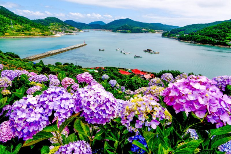 [고흥=뉴시스] 고흥군 쑥섬. (사진=고흥군 제공) 2026.02.04. photo@newsis.com *재판매 및 DB 금지