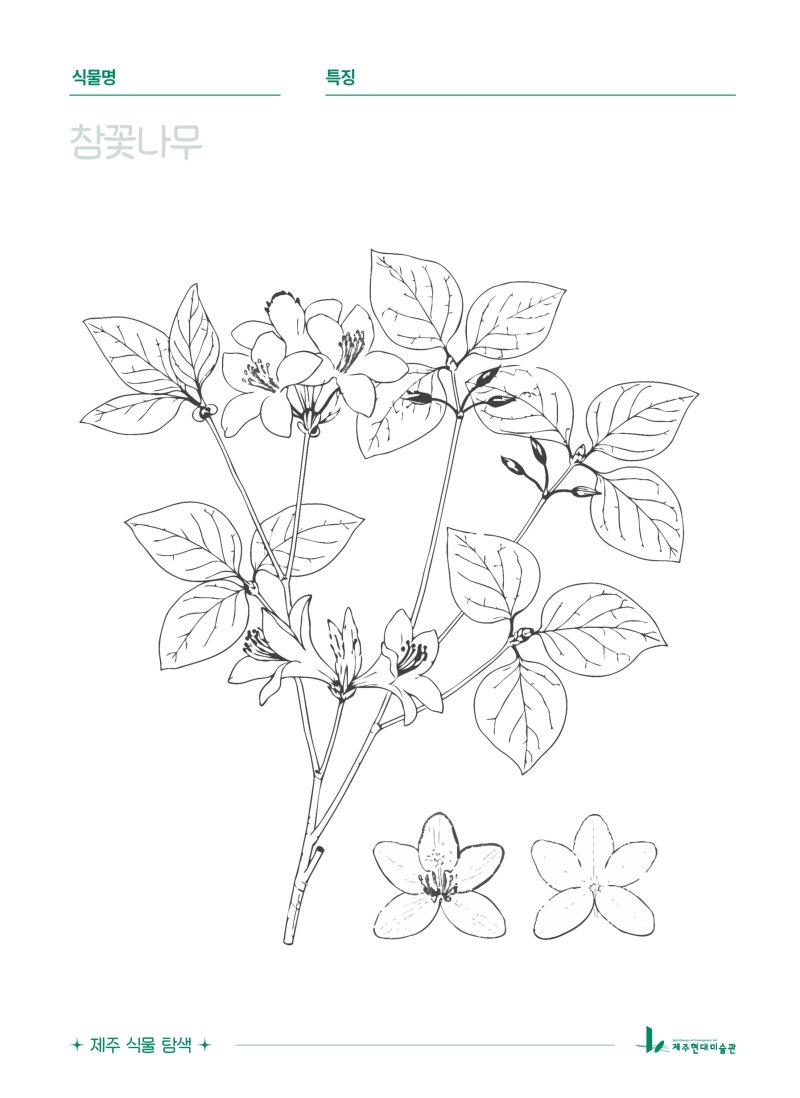 [제주=뉴시스] 제주도 제주현대미술관 생태미술 교육 프로그램 '제주 식물 탐색' 활동지. (사진=제주도 제공) 2026.03.04. photo@newsis.com *재판매 및 DB 금지