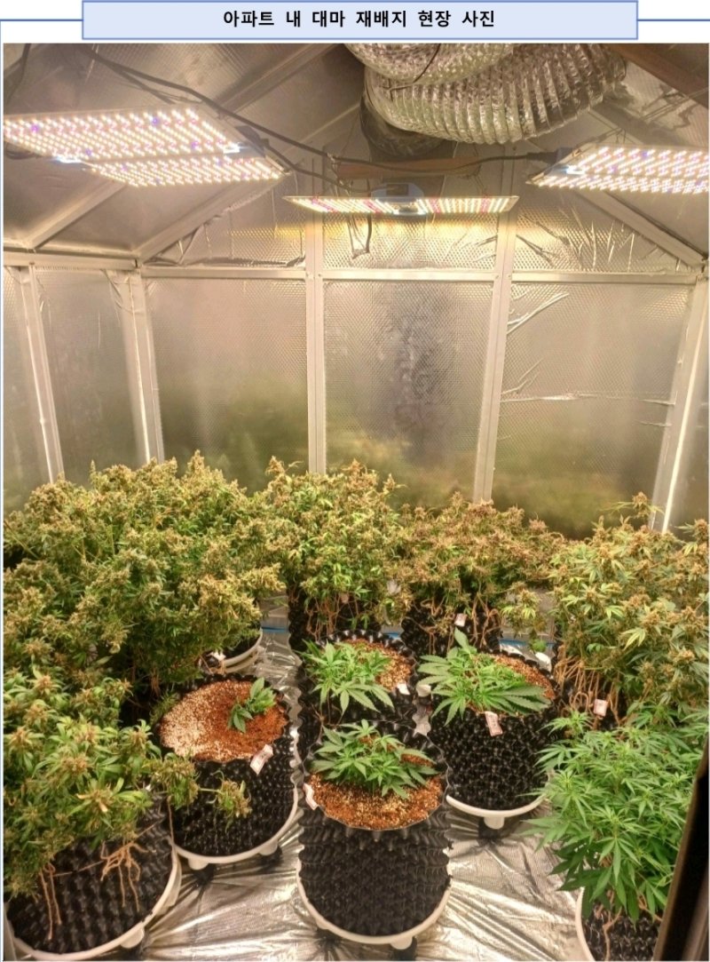 (마약범죄 정부합동수사본부 제공. 재판매 및 DB금지)