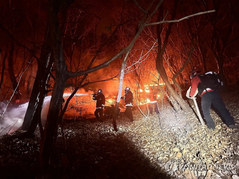 (출처=연합뉴스)