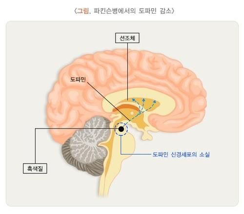 /사진=건강보험심사평가원