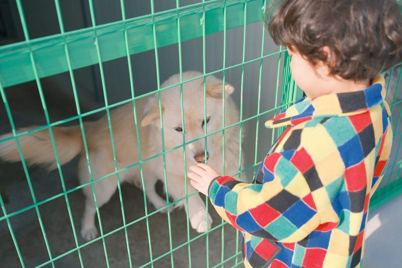 제주 한림쉼터 모습.(김명곤 씨 제공. 재판매 및 DB 금지)