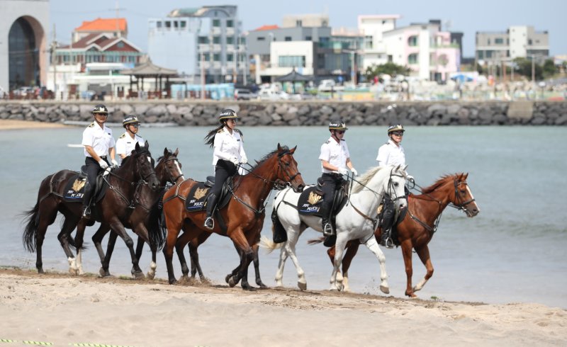 제주 자치경찰단 기마대가 관광지와 생활현장에서 치안 활동을 벌이고 있다. 제주는 2006년 7월 제주특별자치도 출범과 함께 전국에서 처음으로 자치경찰제를 시행한 지역으로 관광지 치안과 교통관리 등 주민 생활과 가까운 치안 업무를 맡아 왔다. /사진=뉴스1