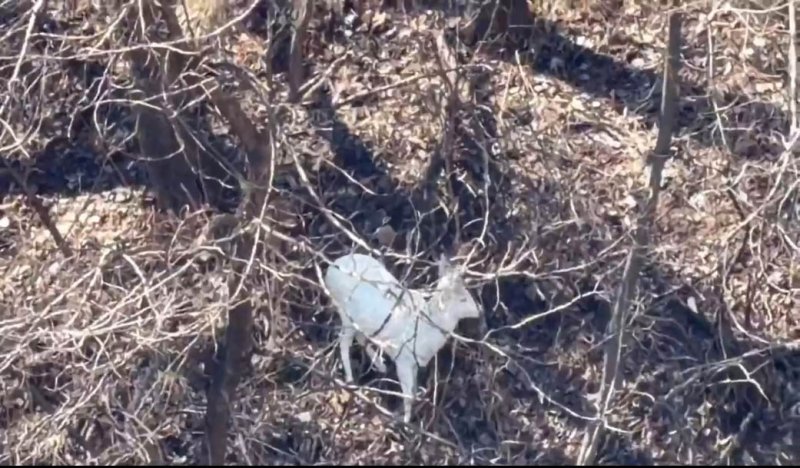 /사진=연합뉴스