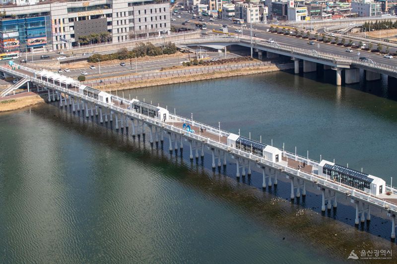 전국 최초로 다리 위에 들어선 식당. 울산시는 10일 태화강 울산교 위에서 세계음식문화관 개관식을 가졌다. 이곳에서는 베트남, 태국, 우즈베키스탄, 멕시코, 일본, 이탈리아 등 6개국의 대표 음식을 즉석에서 조리해 판매한다. 벽면과 천장까지 유리창을 달아 태화강 아름다운 풍광과 울산 도심의 야경도 함께 즐길 수 있다. 울산시 제공
