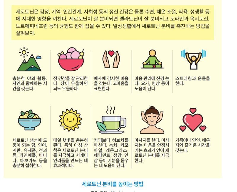 스트레스 호르몬이 두 개인 이유, 알고 있나요? [안철우 교수의 호르몬 백과사전]