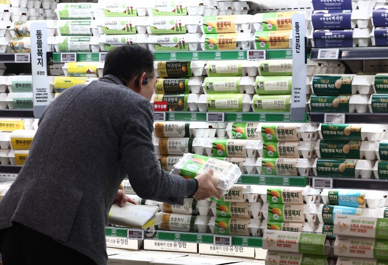 고병원성 조류인플루엔자 확산으로 산란계 살처분이 이뤄지면서 계란 한 판(30개) 평균 소비자가격이 다시 7000원대로 올라섰다. 13일 축산물품질평가원 축산유통정보 품목별가격에 따르면 계란 특란 한 판(30개) 평균 소비자가격은 지난 12일 기준 7045원으로 1년 전(6041원)보다 올랐다. 가격 상승률은 16.6%에 달한다. 사진은 이날 서울 시내의 대형마트에서 시민들이 계란을 고르는 모습. 2026.3.13 ⓒ 뉴스1 김민지 기자