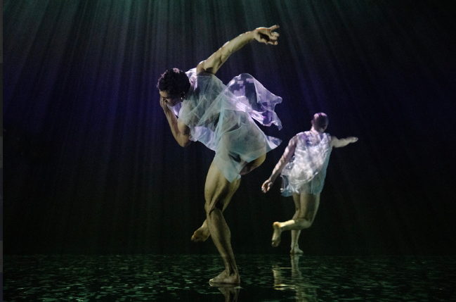 영국 안무가 웨인 맥그리거의 ‘딥스타리아’ 공연 모습. GS아트센터 제공