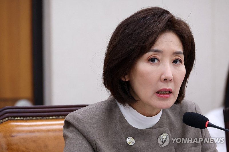 의사진행 발언하는 나경원 의원 (출처=연합뉴스)
