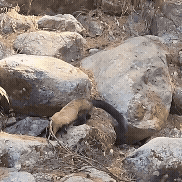 /사진=온라인 커뮤니티