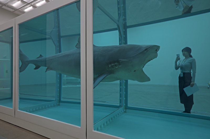 [서울=뉴시스] 박진희 기자 = 국립현대미술관은 영국 시각미술가 데이미언 허스트(Damien Hirst)의 아시아 최초 대규모 개인전 ‘진실은 없어 그러나 모든 것은 가능하지’ 언론공개회를 18일 서울 종로구 국립현대미술관에서 갖고 자연사 연작중 '살아있는 자의 마음 속 죽음의 물리적 불가능성' 작품을 선보이고 있다. 2026.03.18. pak7130@newsis.com
