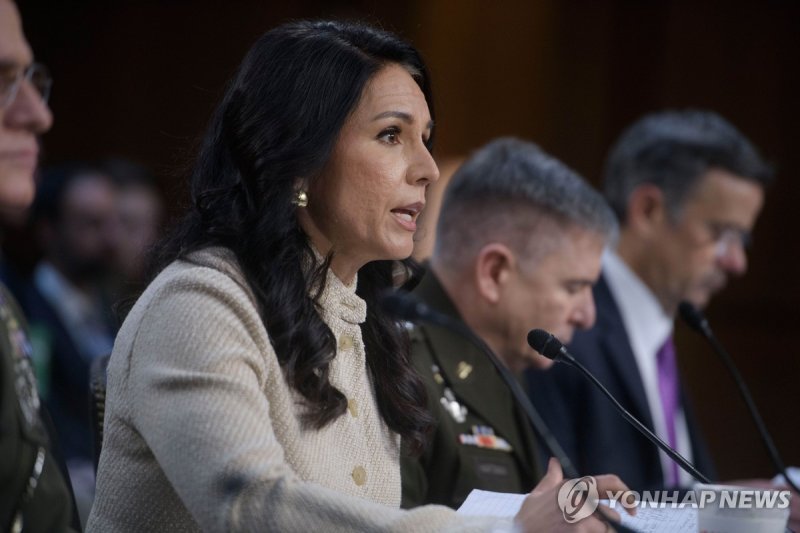 털시 개버드 DNI 국장.연합뉴스