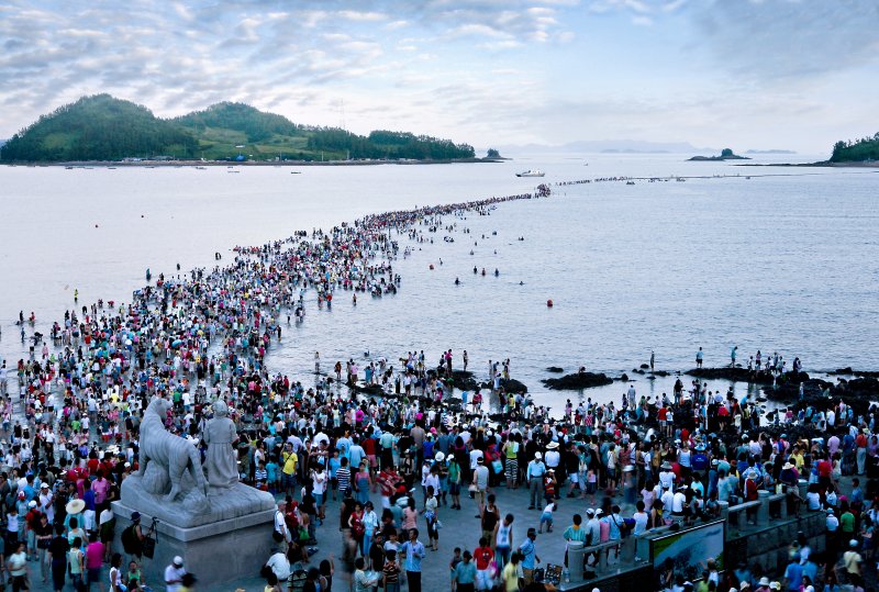 전남 진도 신비의바닷길축제. 뉴스1