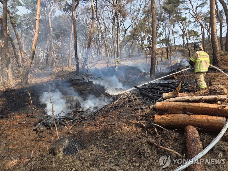 라이터 2개 버젓이 들고선 "산책만" 뻔뻔한 부인에 끝내…